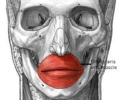 Can Lip Corner Thread Lifts Be Effective? Before & After Differences and Suitable Face Types 사진 2