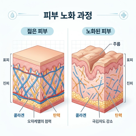 Seoul Facial Wrinkle Lifting: What's the Secret to Looking Younger Than Your Age? 사진 3