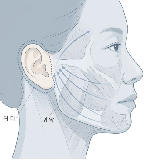 강남 안면거상 잘하는곳, 검색만으로는 알기 어려운 이야기 사진 8